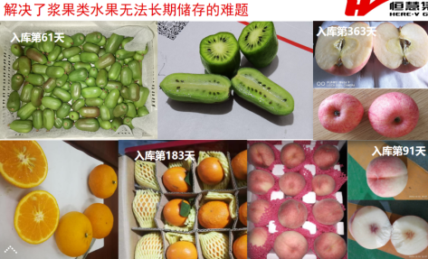 果蔬肉食儲藏解決方案(圖3)